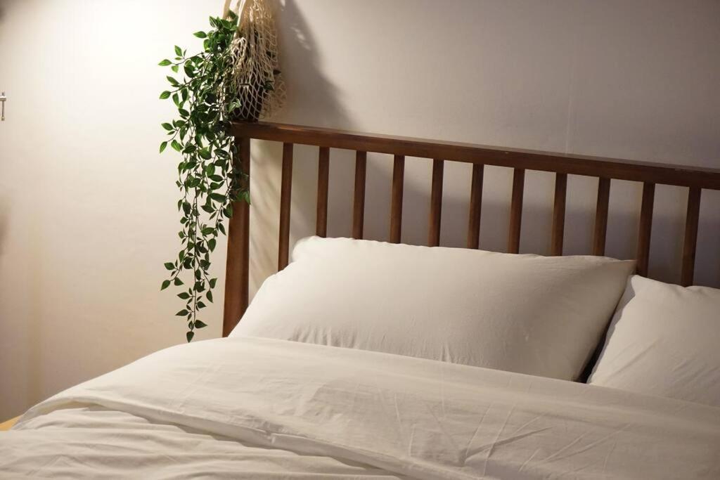 Apartment Ou House *